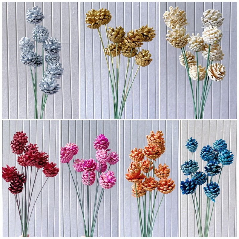 Dried Flowers Dried Pine Cone | DreamGarden SG