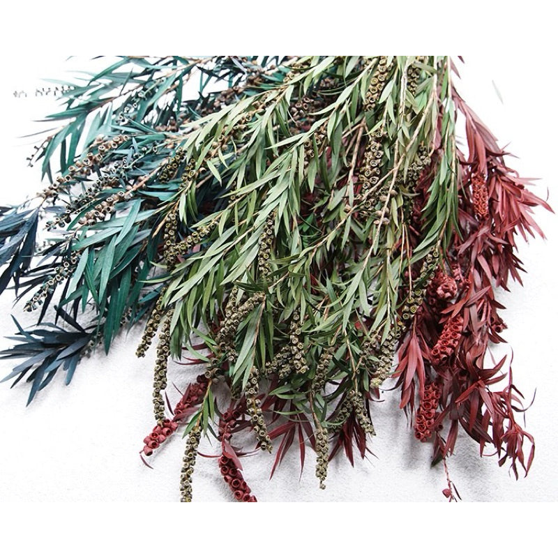 Preserved flower plant Buddha beads dried flower bouquet branches green leaves home flower arrangement decoration