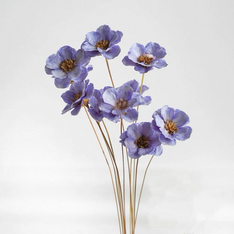 Preserved Flowers Cotton Flowers 2 | DreamGarden SG