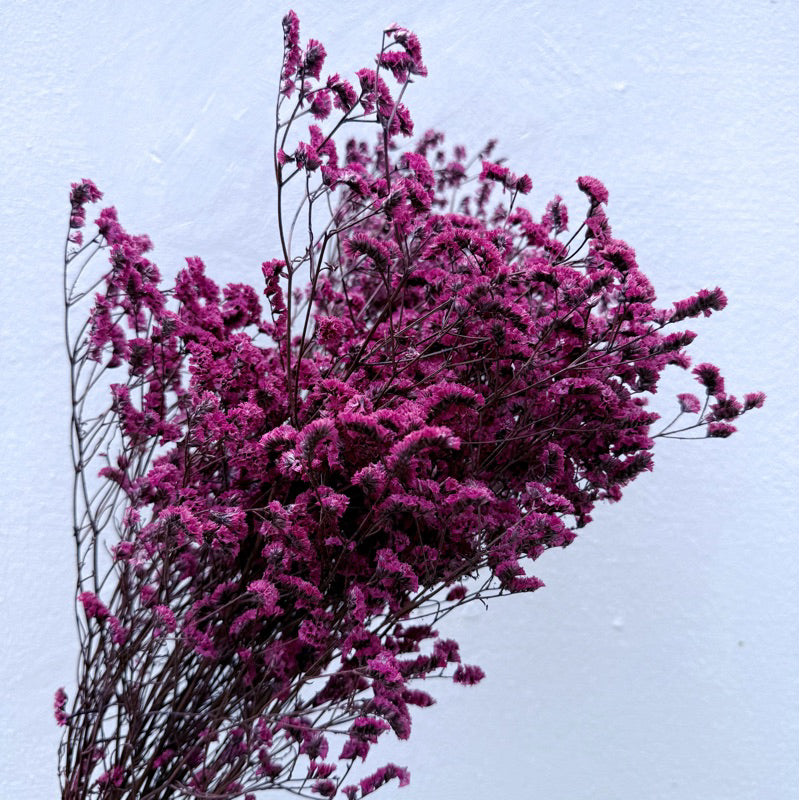Preserved Limonium
