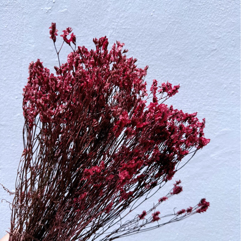 Preserved Limonium 2 | DreamGarden SG