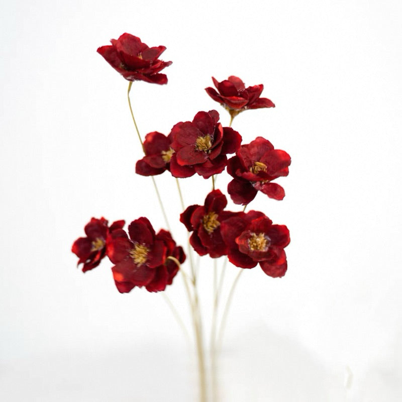 Preserved Flowers Cotton Flowers 2 | DreamGarden SG