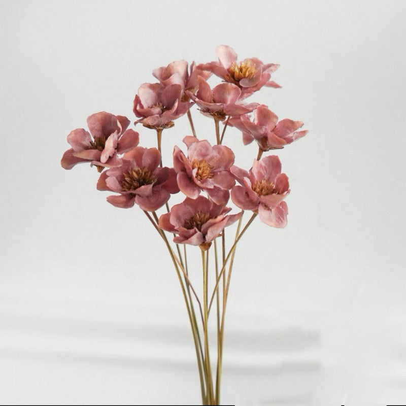 Preserved Flowers Cotton Flowers 2 | DreamGarden SG