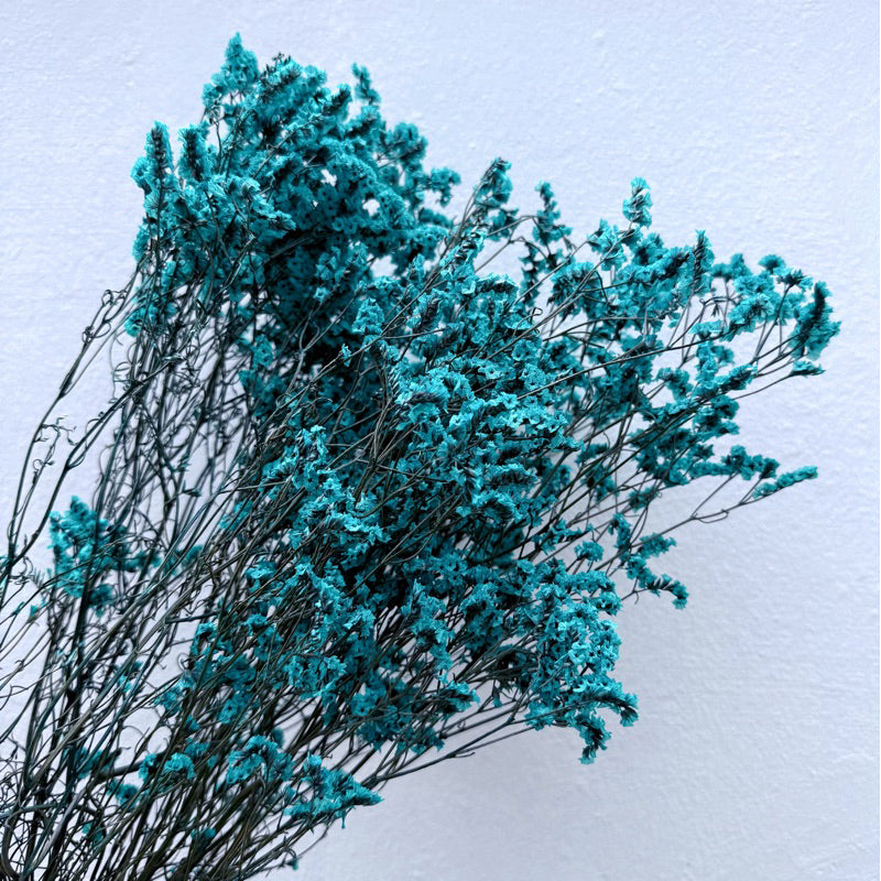 Preserved Limonium