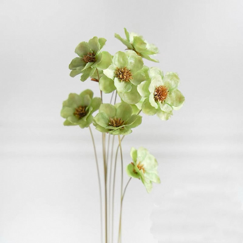 Preserved Flowers Cotton Flowers 2 | DreamGarden SG