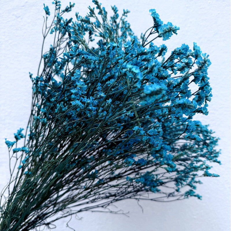 Preserved Limonium