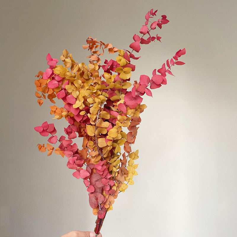 Preserved Eucalyptus