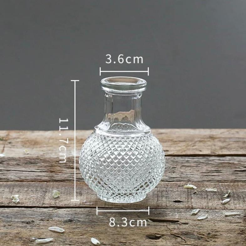 Minimalist Clear Reed diffuser Small Vintage Modern | DreamGarden SG