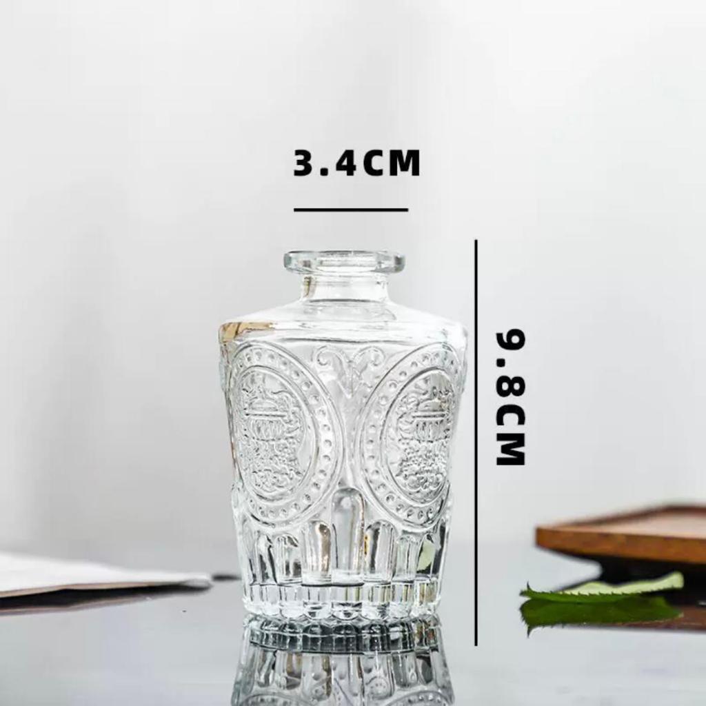 Reed diffuser Minimalist Clear Small Vintage Modern | DreamGarden SG