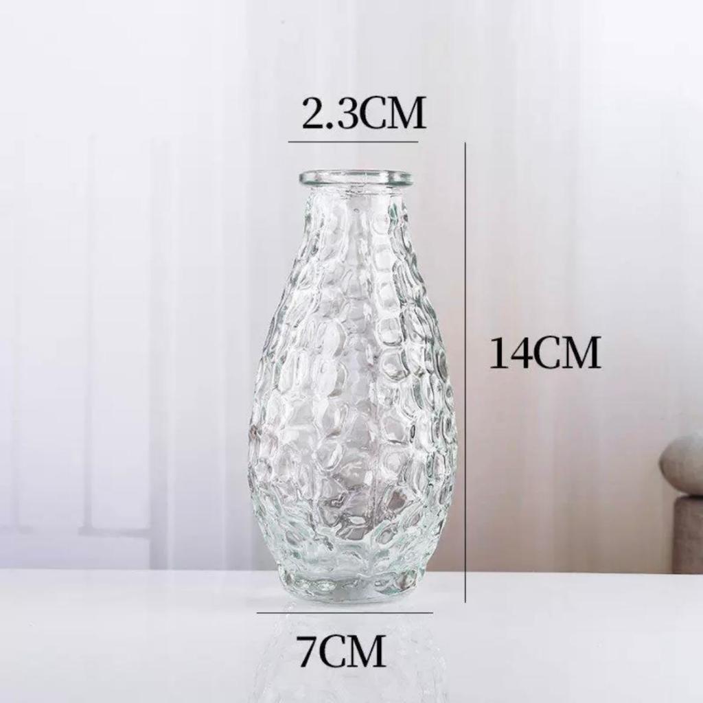 Reed diffuser Minimalist Clear Small Vintage Modern Hydroponic Tabletop Transparent Glass Fiower Vase
