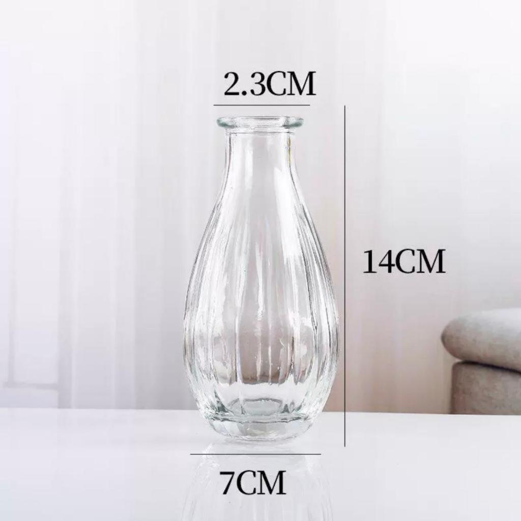 Reed diffuser Minimalist Clear Small Vintage Modern Hydroponic Tabletop Transparent Glass Fiower Vase