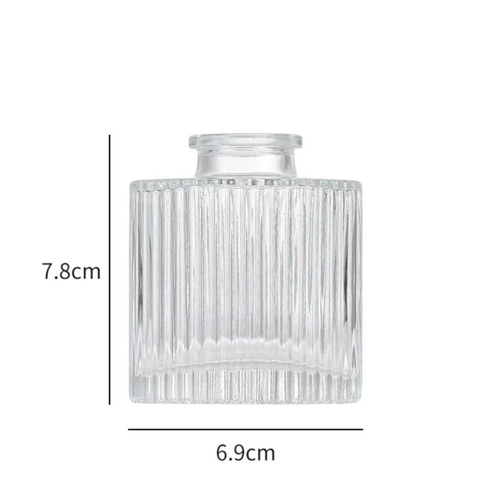 Minimalist Clear Small Vintage Modern Hydroponic Tabletop | DreamGarden SG
