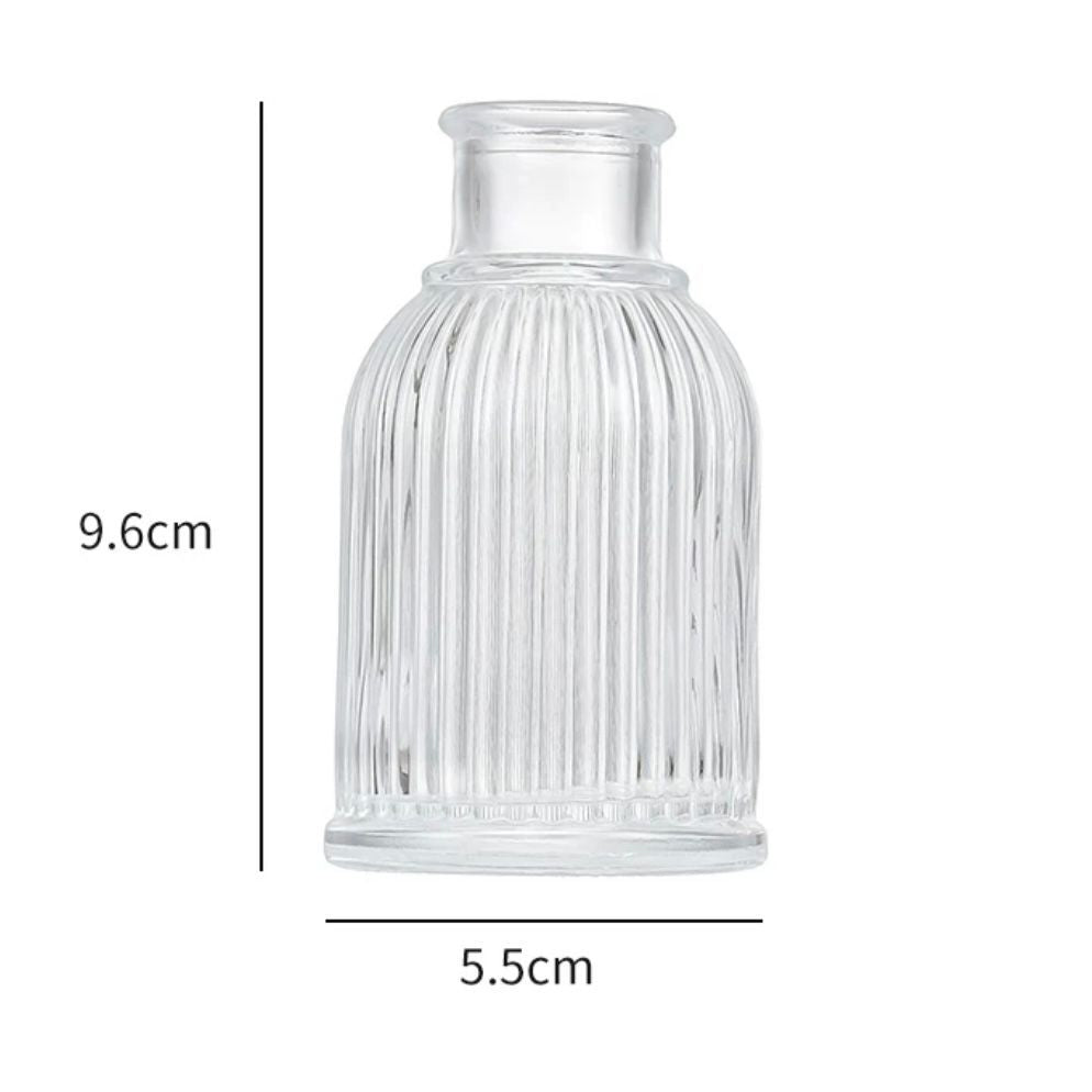 Minimalist Clear Small Vintage Modern Hydroponic Tabletop | DreamGarden SG