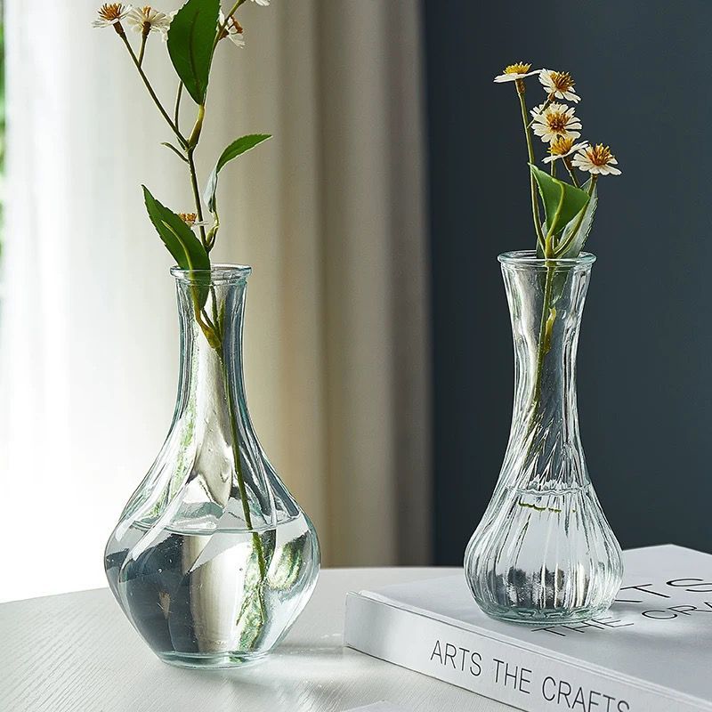 Minimalist Clear Reed diffuser Small Vintage Modern Hydroponic Tabletop Transparent Glass Fiower Vase