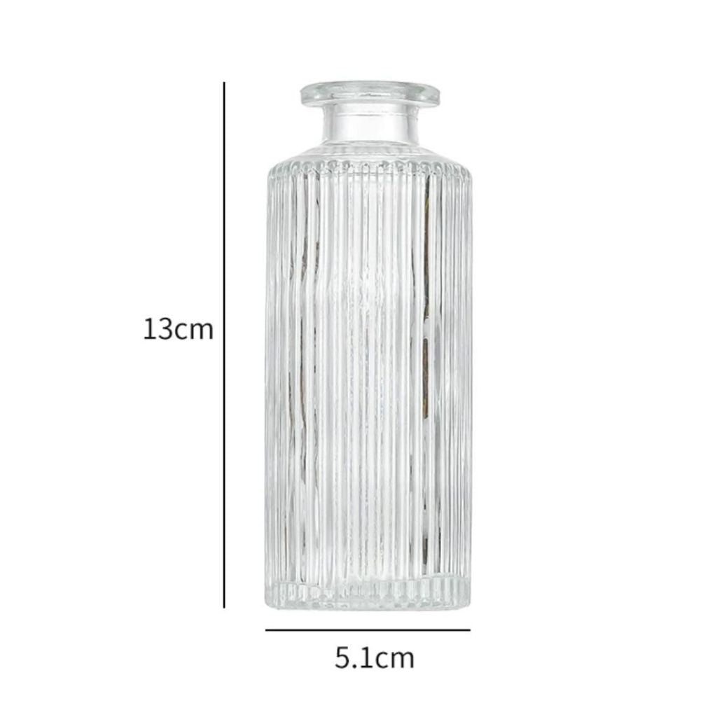 Minimalist Clear Small Vintage Modern Hydroponic Tabletop | DreamGarden SG