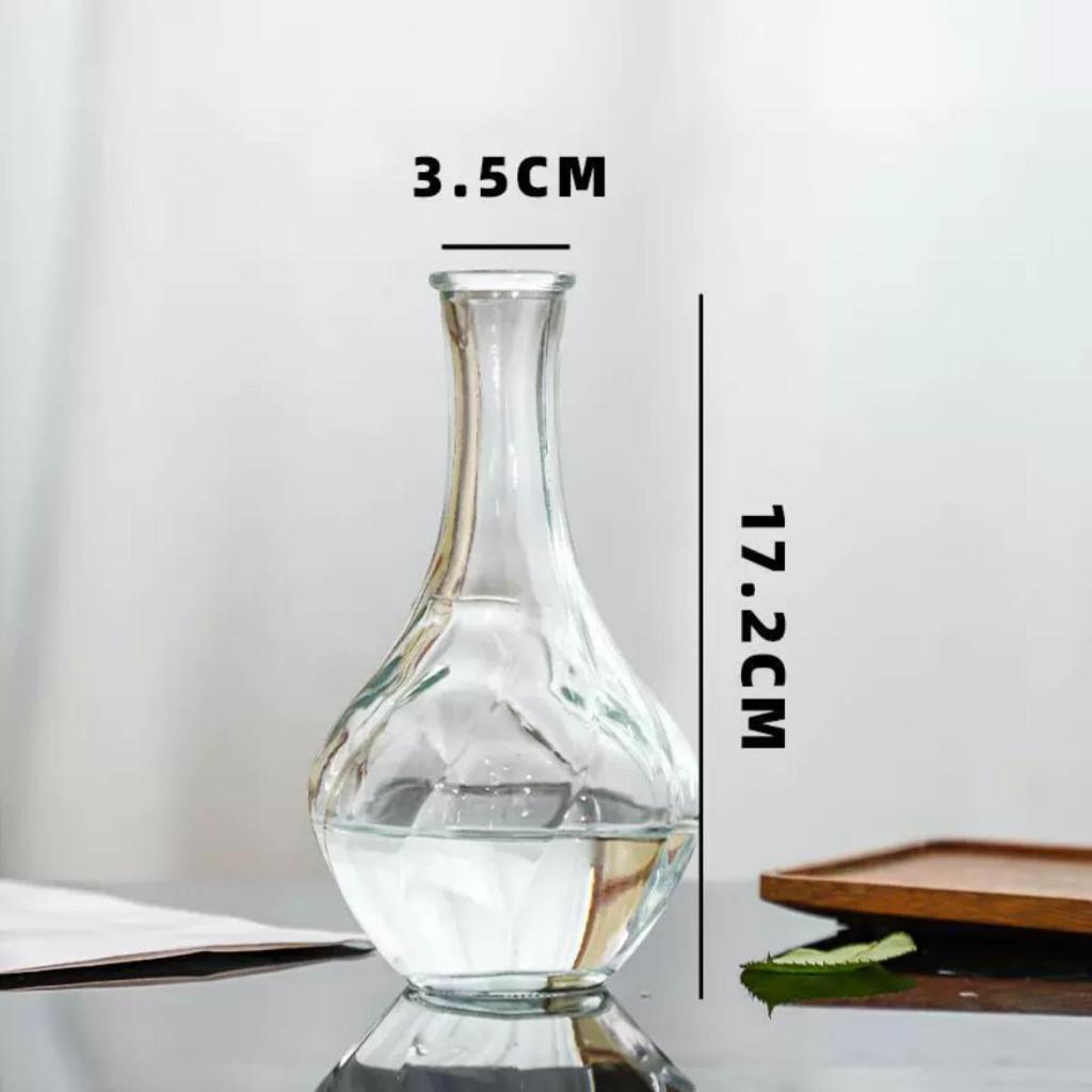 Reed diffuser Minimalist Clear Small Vintage Modern | DreamGarden SG