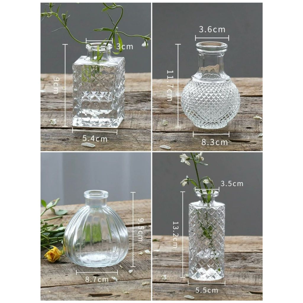 Minimalist Clear Reed diffuser Small Vintage Modern Hydroponic Tabletop Transparent Glass Fiower Vase