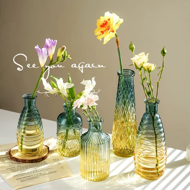 Reed diffuser Minimalist Clear Small Vintage Modern Hydroponic Tabletop Transparent Glass Fiower Vase
