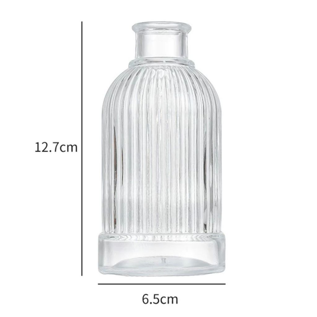 Minimalist Clear Small Vintage Modern Hydroponic Tabletop | DreamGarden SG