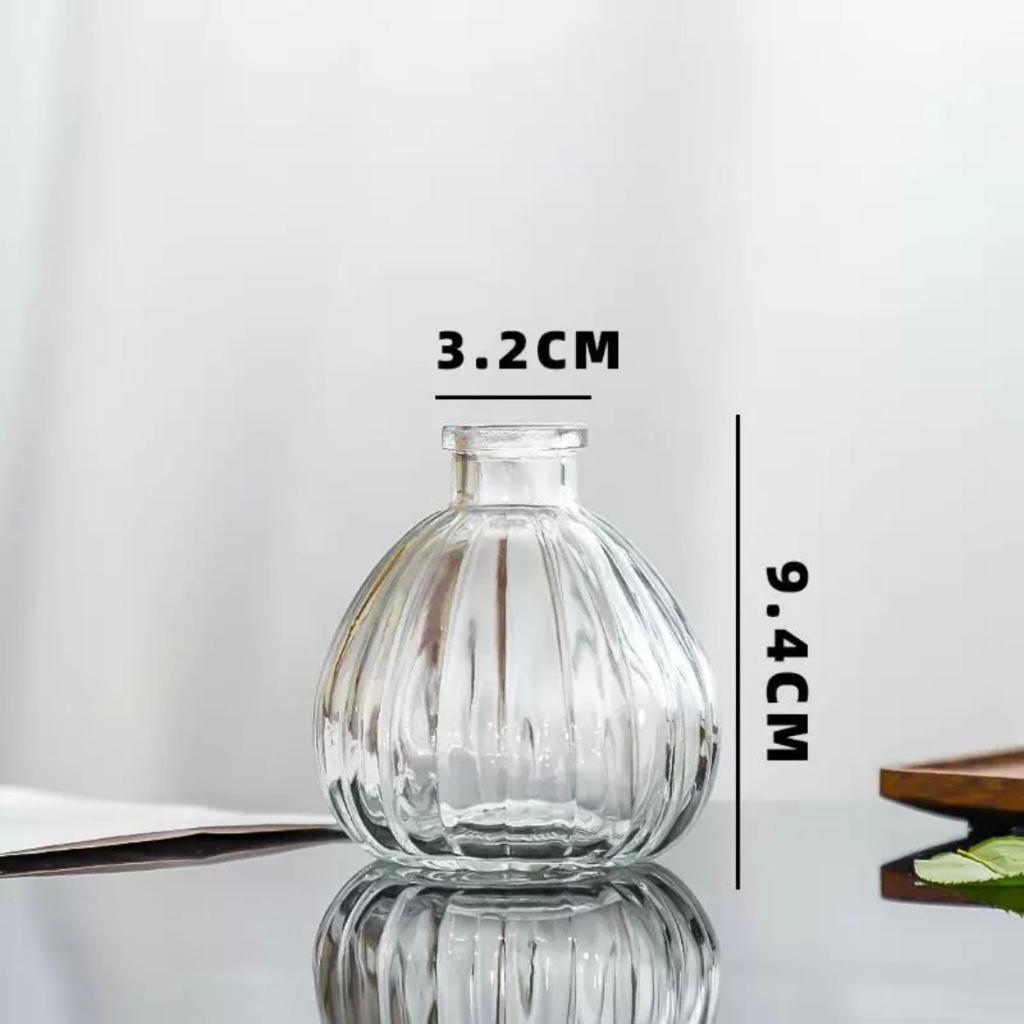 Reed diffuser Minimalist Clear Small Vintage Modern Hydroponic Tabletop Transparent Glass Fiower Vase