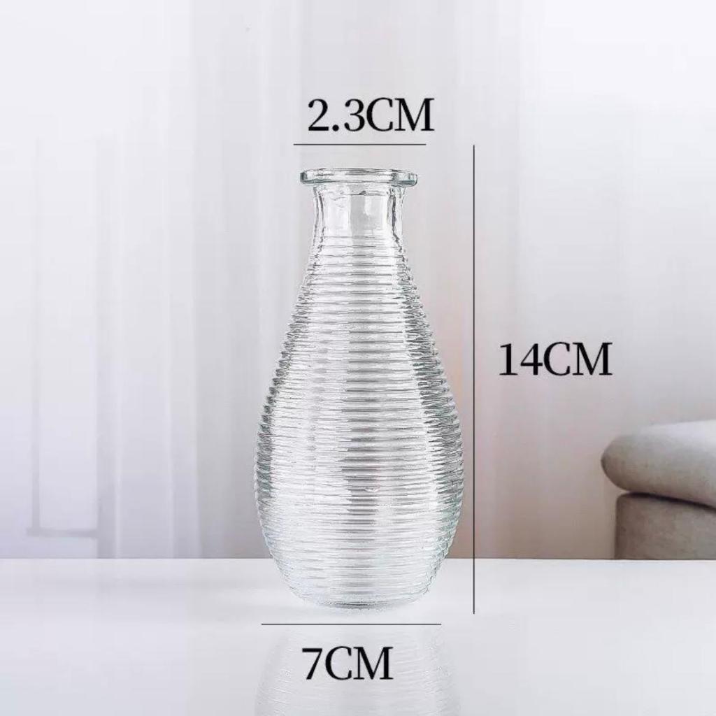 Reed diffuser Minimalist Clear Small Vintage Modern | DreamGarden SG