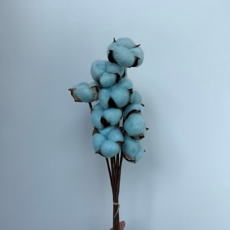 Cotton Flowers
