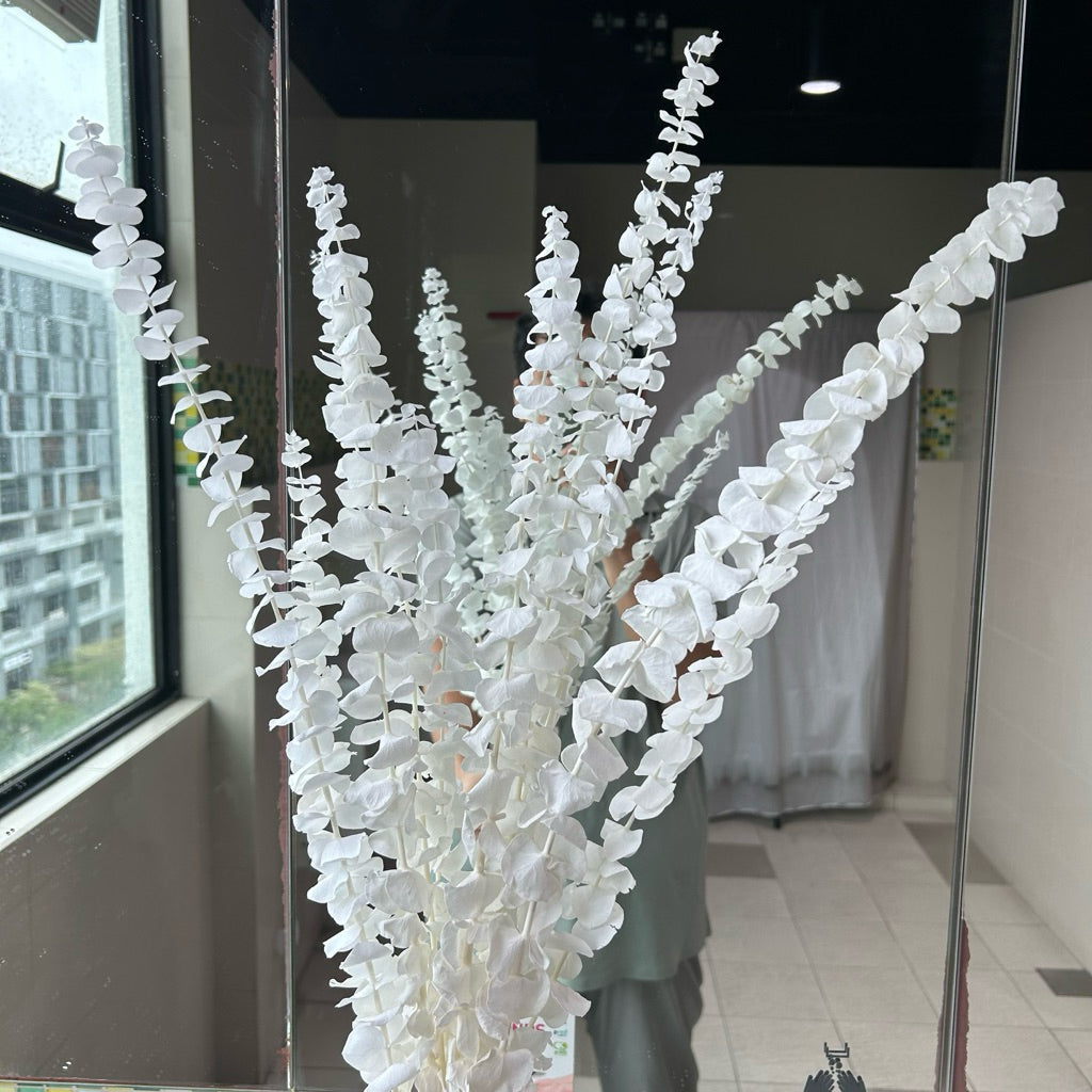 Preserved Leaves Preserved Eucalyptus 3 | DreamGarden SG