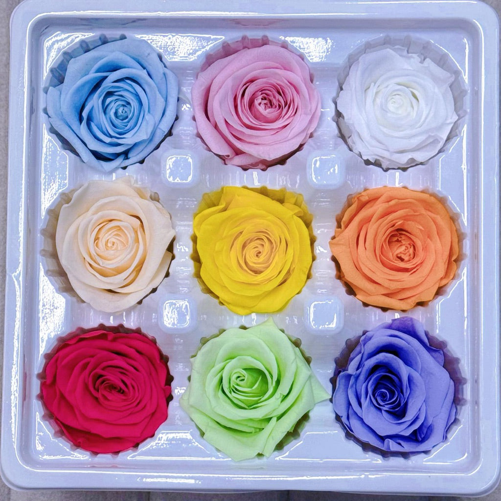 9pcs Rainbow Preserved Rose Flower Head Box|Mixed Color | DreamGarden SG