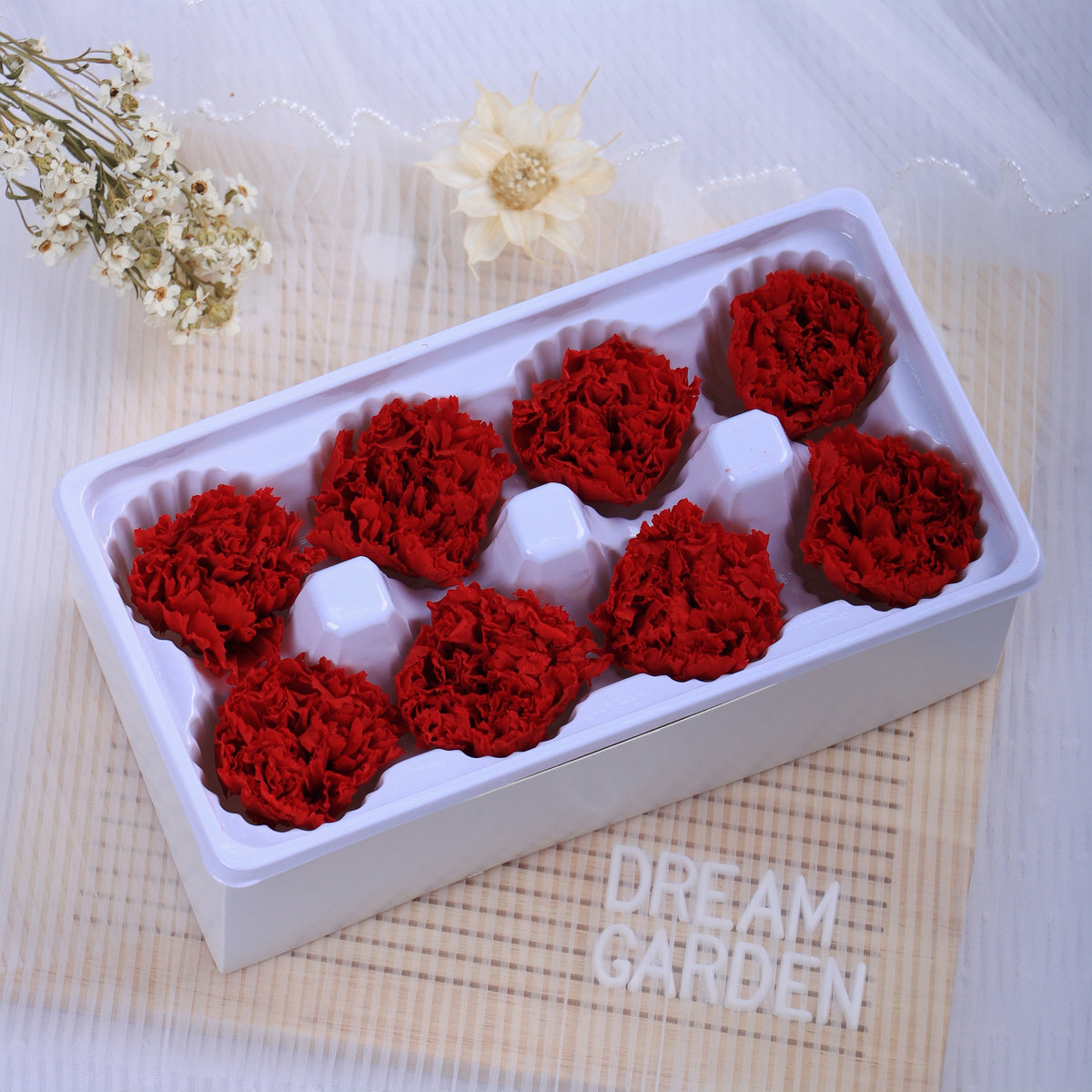 Carnation