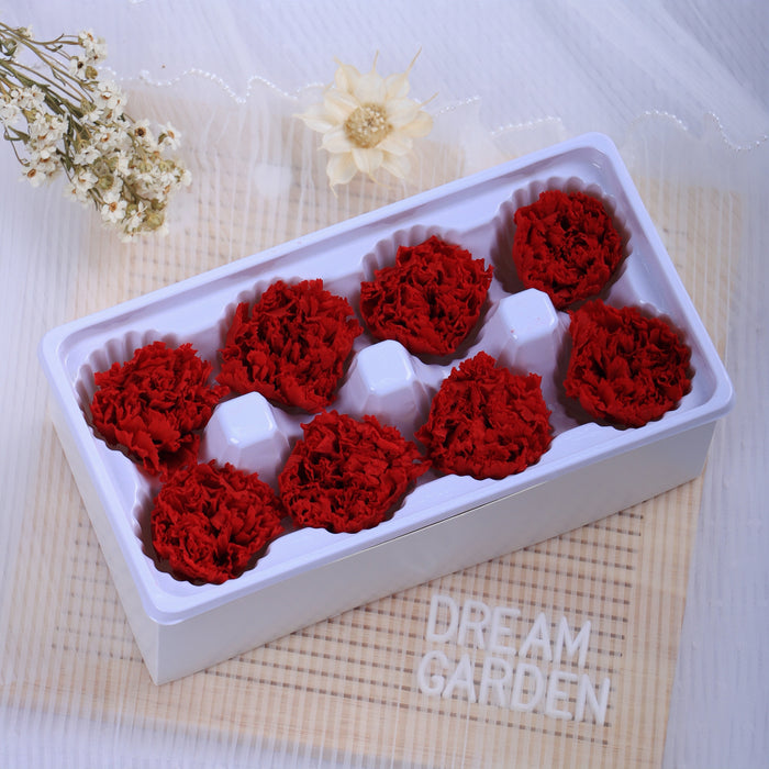 Carnation