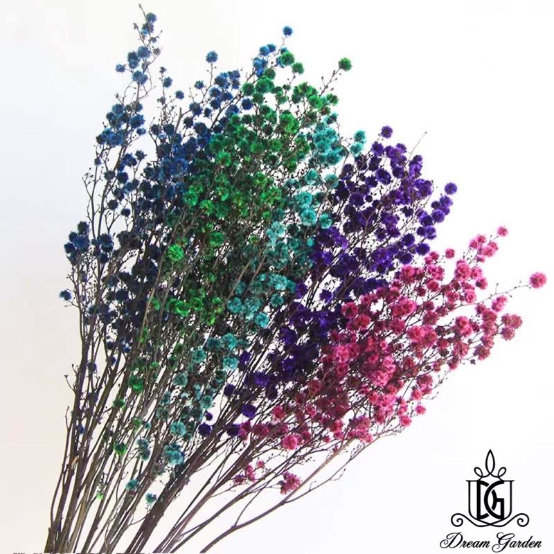 🇸🇬[SG Stock] Preserved Flower Branches For Home Decor/DIY/Wedding/Glass Cover Dome Dried Eternal Stirlingia Flowers