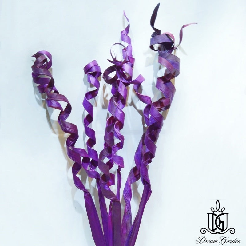 🇸🇬[SG Stock]Dream Garden Preserved Flowers Dried Flowers Dried Palm Leaf Stripes Singapore Local Wholesalers