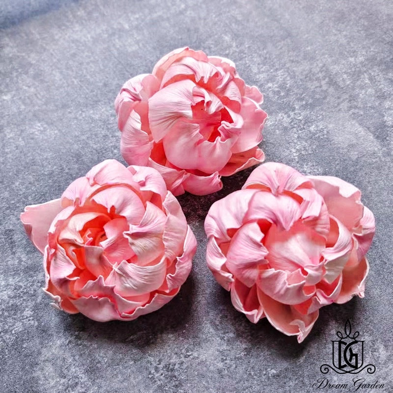 🇸🇬[SG Stock]SG Stock New Arrival Dried Flower Sola Flowers Wood Flower Handmade Flower Chrysanthemum Lotus Peony