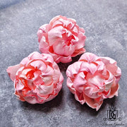 New Arrival Dried Flower Sola Flowers Wood Flower | DreamGarden SG