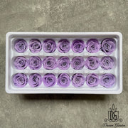 Grade B Preserved Roses 2cm-3cm | DreamGarden SG