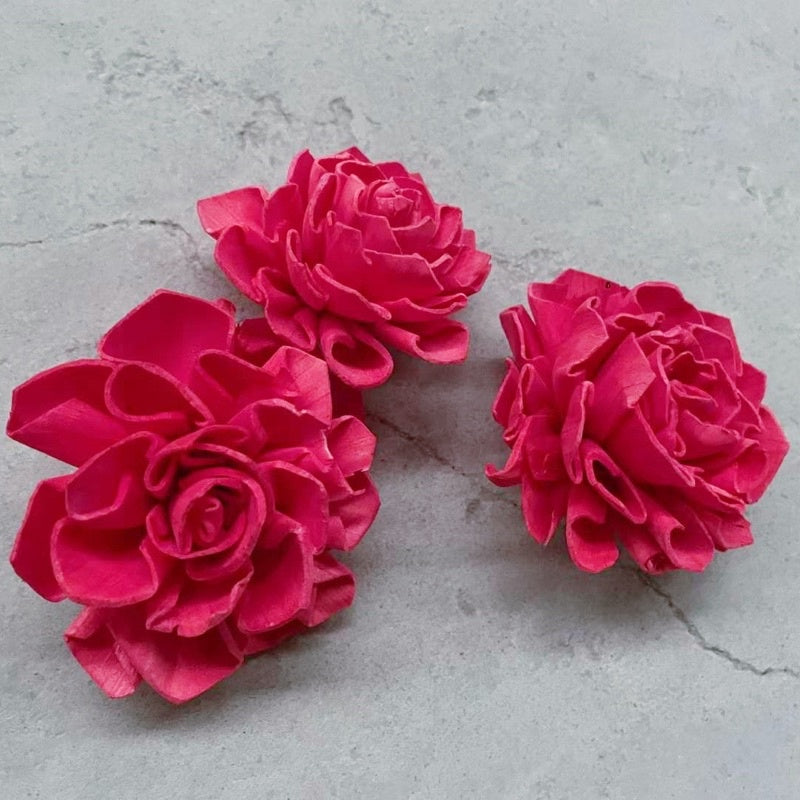 🇸🇬[SG Stock]Preserved Flowers Dried Flowers Colored Sola Flowers Wood Flower Handmade Flower Chrysanthemum Lotus Peony