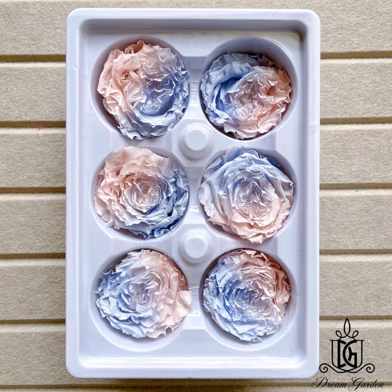 🇸🇬[SG Stock][Dream Garden]SG Stock New Arrival Preserved Flower Preserved Rose Preserved Peony Rose