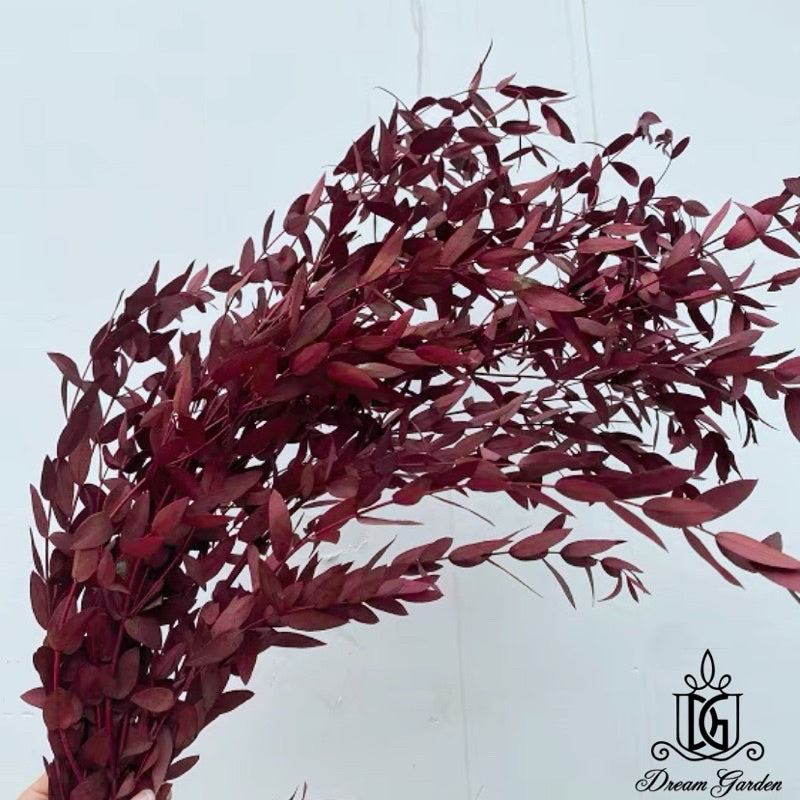 🇸🇬[SG Stock]Singapore Local Wholesaler Dream Garden Preserved Flowers Dried Flower Preserved Leaves Preserved Eucalyptus