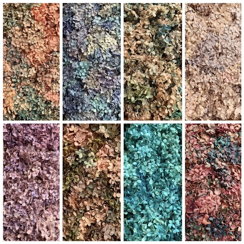 🇸🇬[SG Stock] Singapore Local Wholesale Dream Garden Grade A Preserved Hydrangeas Dried Flowers Preserved Flowers