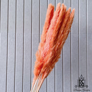 Dried Flower Preserved preserved flower Dried bleach | DreamGarden SG