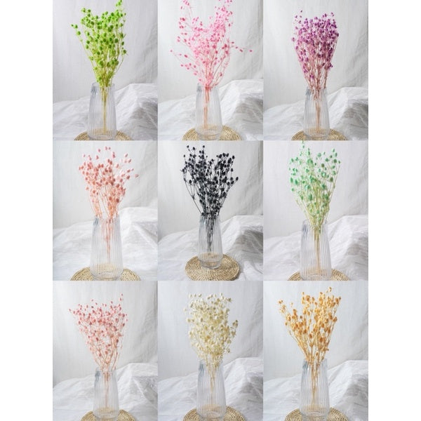 🇸🇬[SG Stock]Preserved Flowers Dried Flowers Preserved Sea Holly Singapore Local Wholesalers Home Decoration/DIY/Wedding
