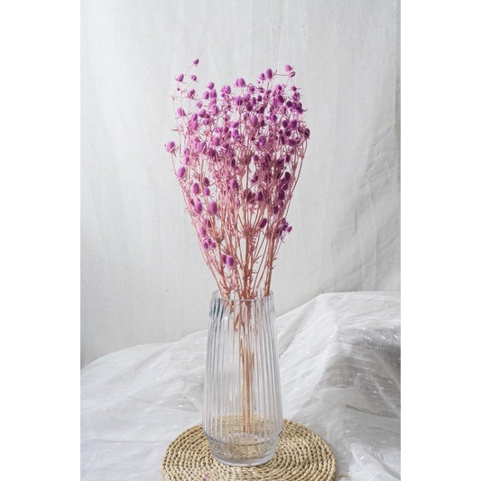 🇸🇬[SG Stock]Preserved Flowers Dried Flowers Preserved Sea Holly Singapore Local Wholesalers Home Decoration/DIY/Wedding