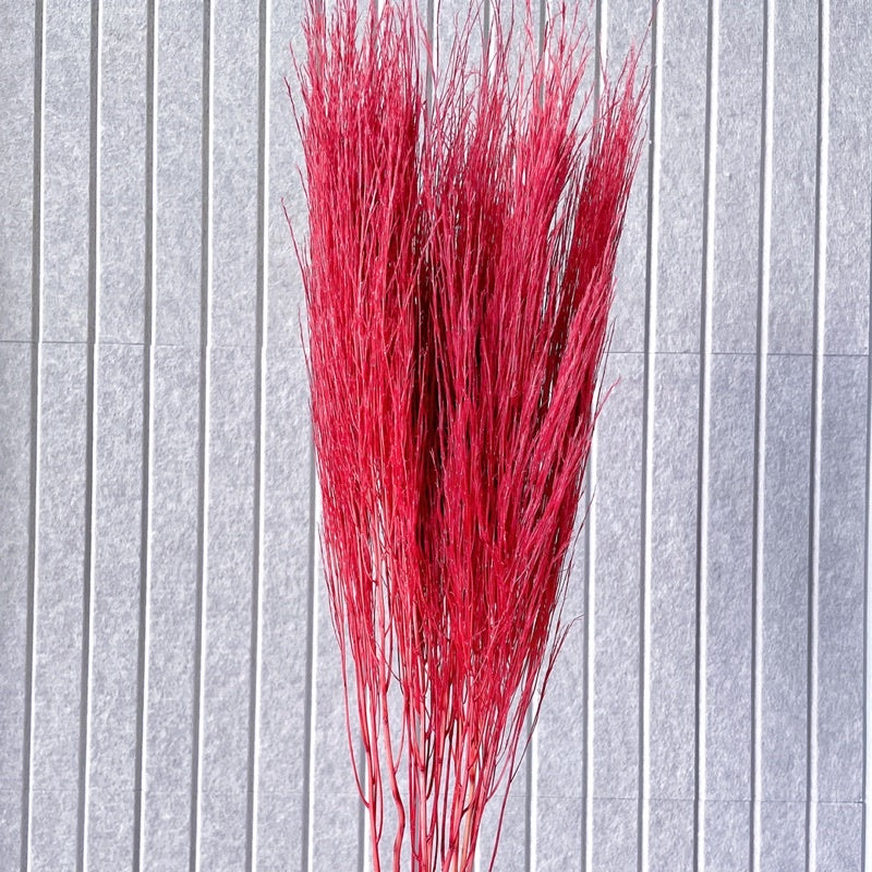 🇸🇬[SG Stock] Preserved Feather Grass For Christmas Home Decor/DIY/Wedding/Glass Cover Dome Dried Eternal Flowers