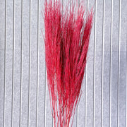 Preserved Feather Grass For Christmas Home | DreamGarden SG