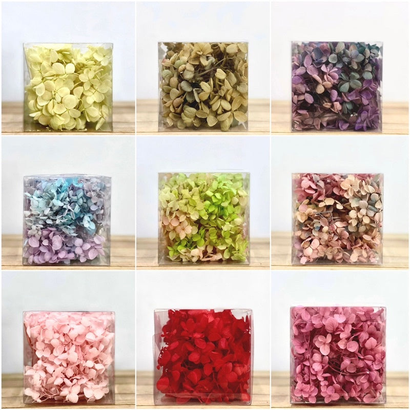 🇸🇬[SG Stock]Hydrangea Preserved Flowers Grade A Preserved Hydrangeas Singapore Local Home Decoration/DIY/Wedding