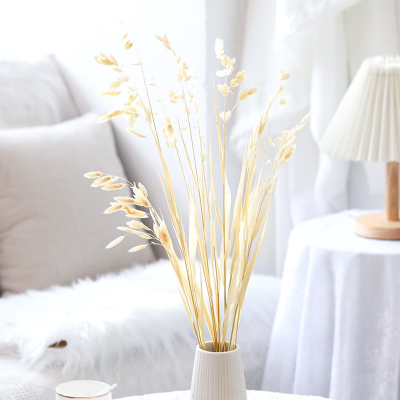 🇸🇬[SG Stock]Preserved Flowers Dried Flower Preserved Chasmanthium Latifolium Northern Sea Oats Spangle Grass Spike Grass