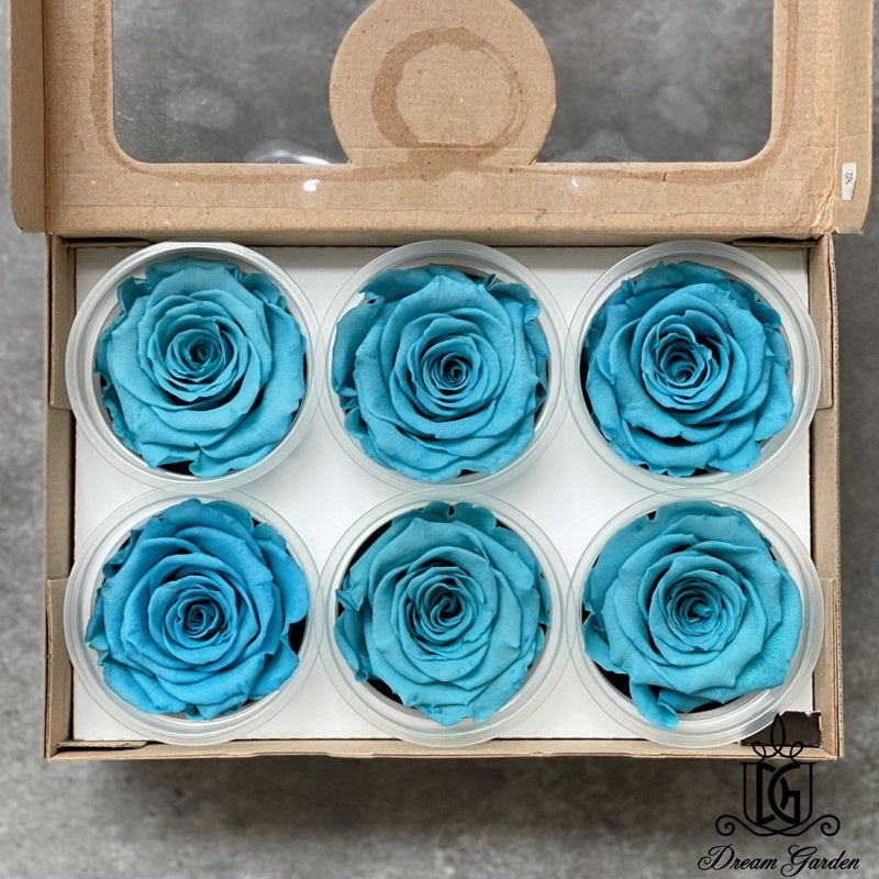 🇸🇬[SG Stock]🇸🇬SG Local Largest Wholesaler RoseAmor Pearl Color Preserved Roses Japanese Preserved Flowers Ecuador Roses