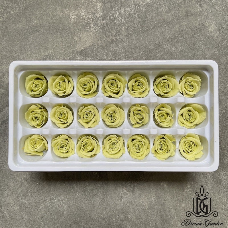 🇸🇬[SG Stock][Dream Garden]Grade B Preserved Roses 2cm-3cm Preserved Flowers Dried Flowers Home Decoration/DIY/Wedding