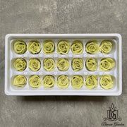 Grade B Preserved Roses 2cm-3cm | DreamGarden SG