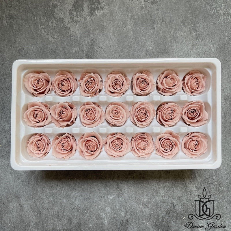 🇸🇬[SG Stock][Dream Garden]Grade A Preserved Roses 2cm-3cm Preserved Flowers Dried Flowers Home Decoration/DIY/Wedding
